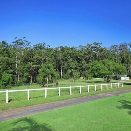 Cabin Country Retreat Paskins Farm Palmwoods Exterior photo